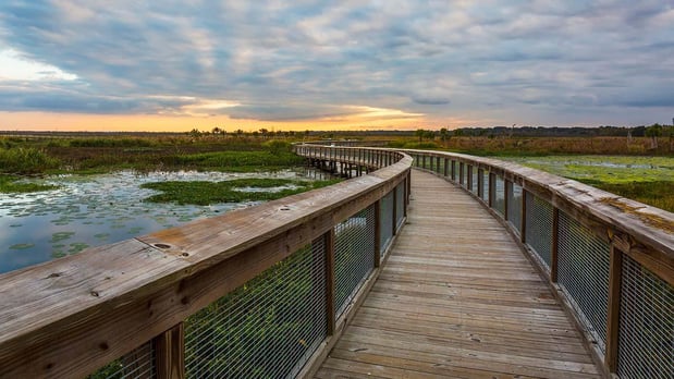 Images Howard M. Rosenblatt, P.A.