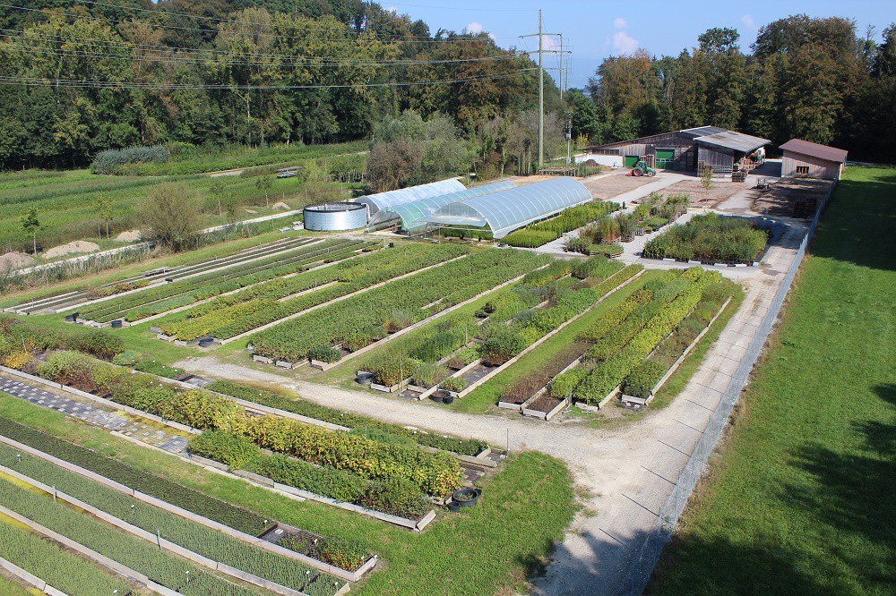 Emme Forstbaumschulen AG, Schachen 9 in Wiler b. Utzenstorf