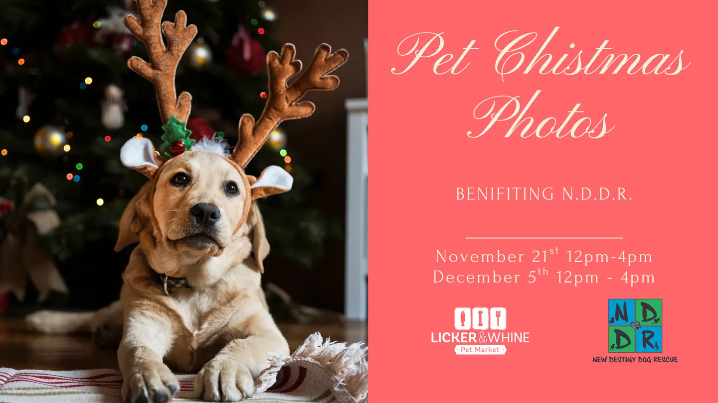 Image of Local Pet Event 🎄 Pet Christmas Photos at Licker & Whine Pet Market! 🐾 Nearby