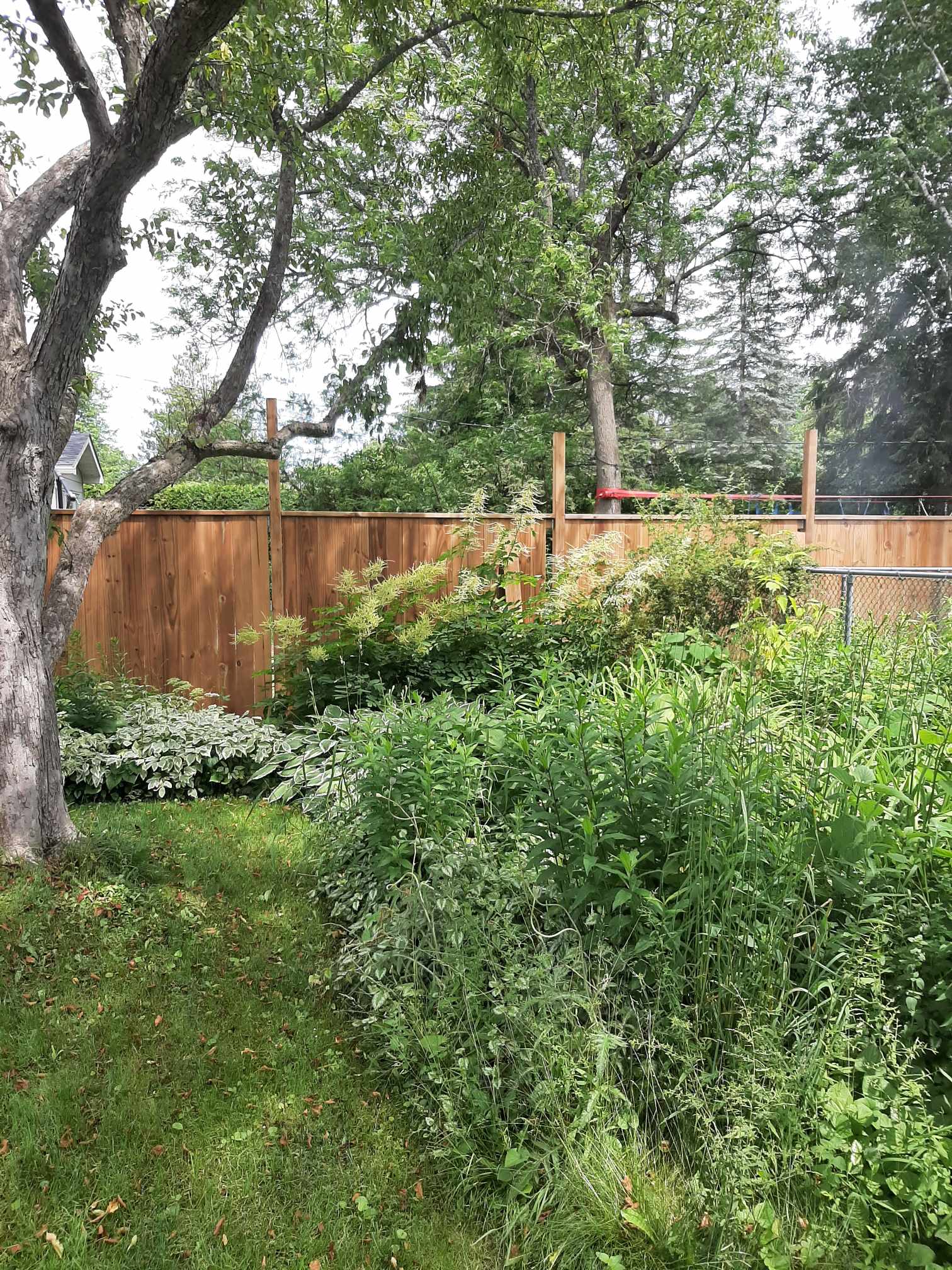 Images Rejuvenation Renovations