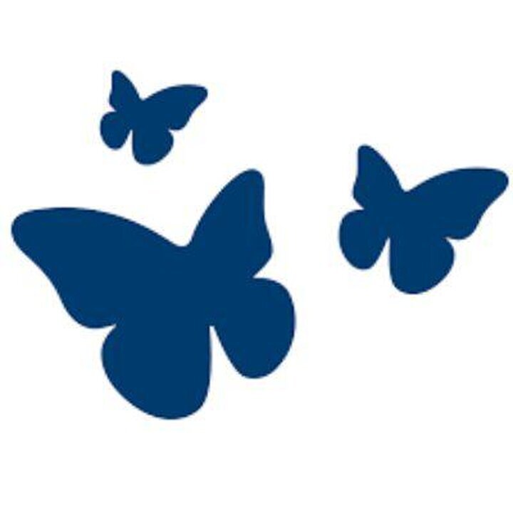 Schmetterling Reisebüro lankers reisen, Boxdorfer Straße 30 in Dresden