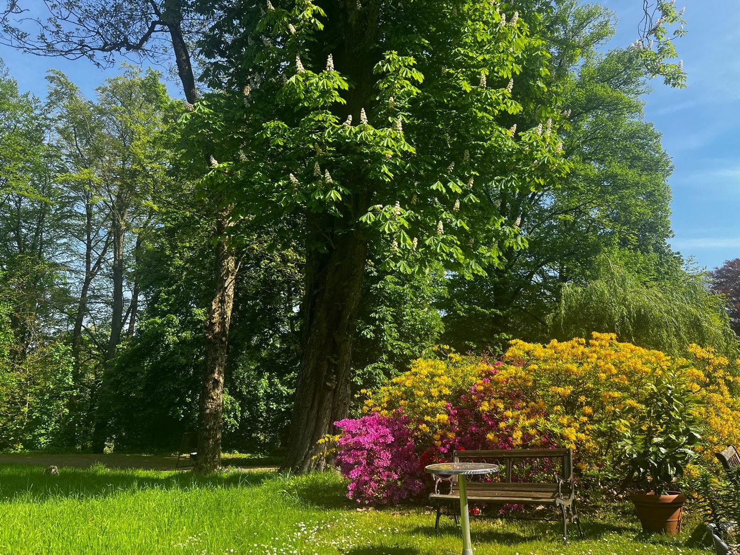 Neue Wege Hypnose-Therapie-Entspannung, Stiftstr. 24 in Wülfrath