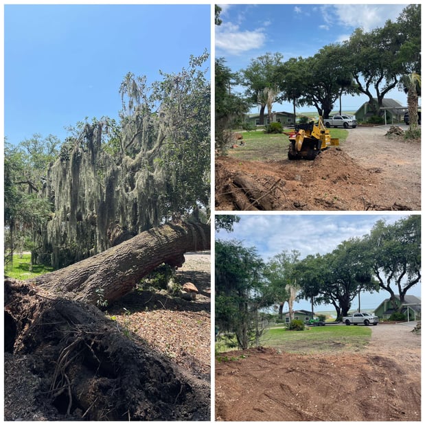 Images Magana Tree Service