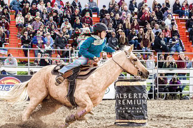 Images Equine Coach, LLC