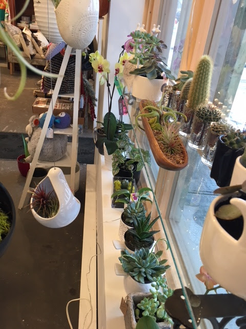 Images Flora Passion