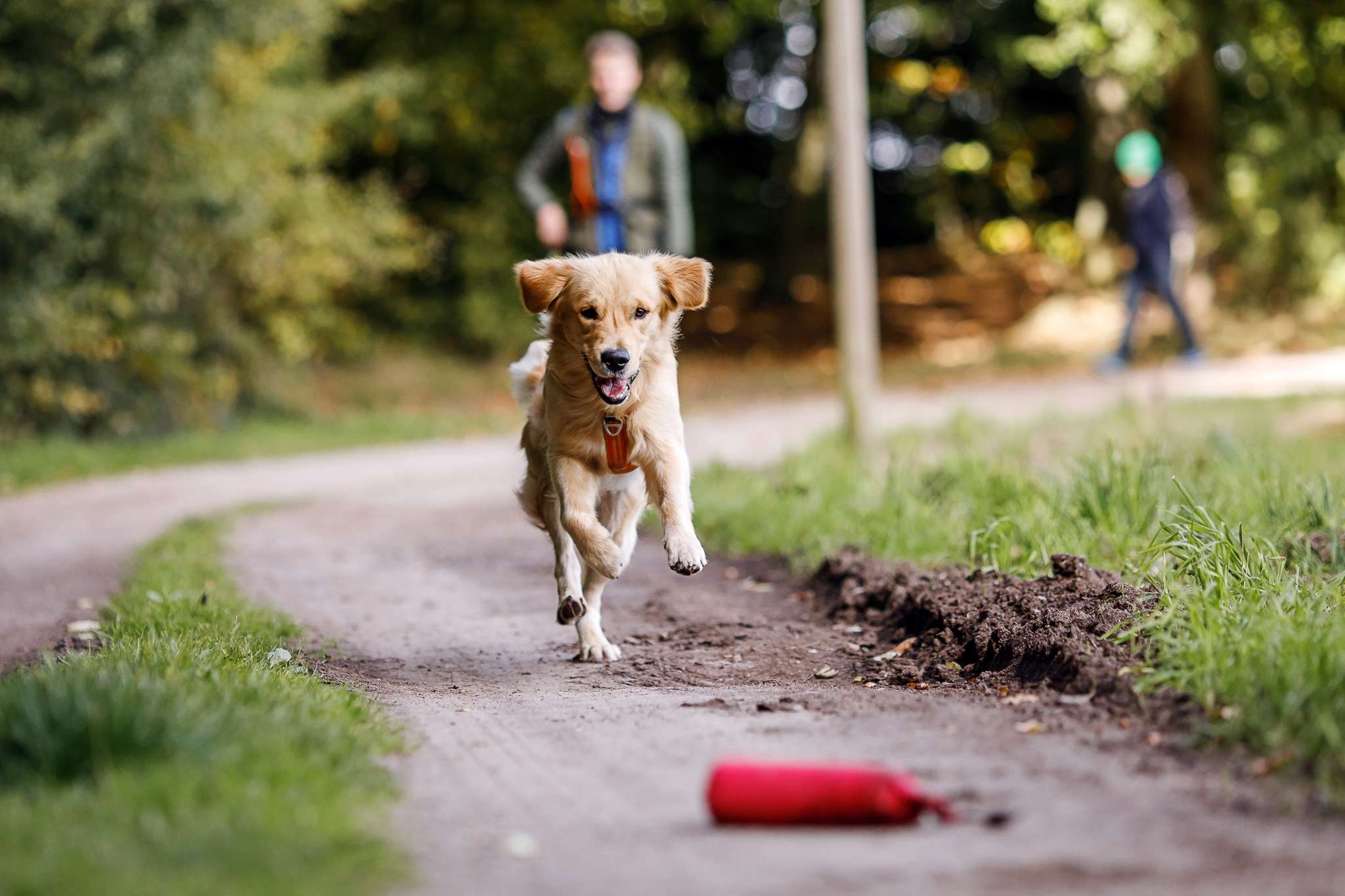 Hundeschule DogGeeks® TonCane: Online & Mobil, Voßbarg 23 in Seevetal