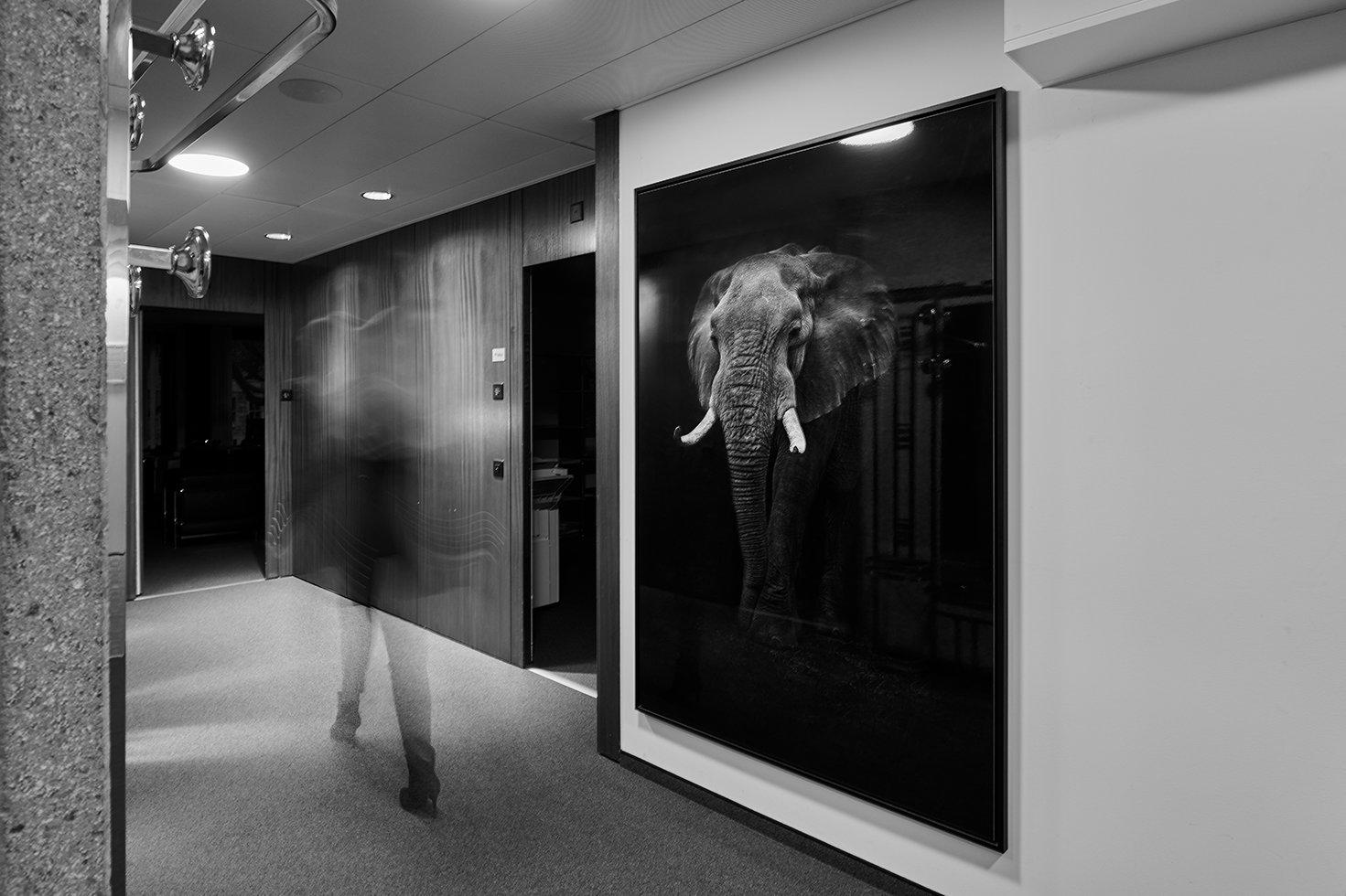 Bilder Unternehmeragentur Piunti Partner AG