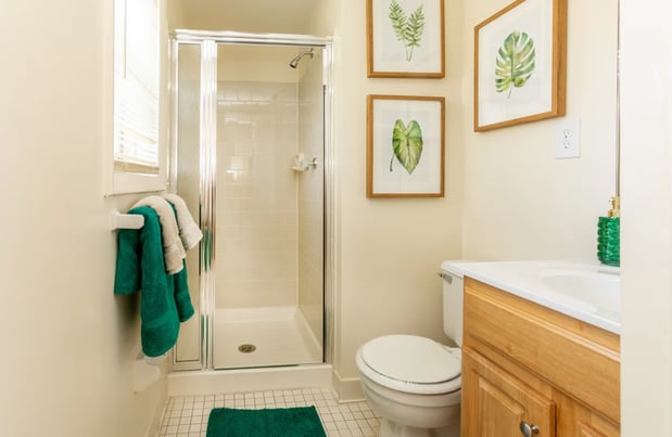 Images Spring Hill Apartments & Townhomes