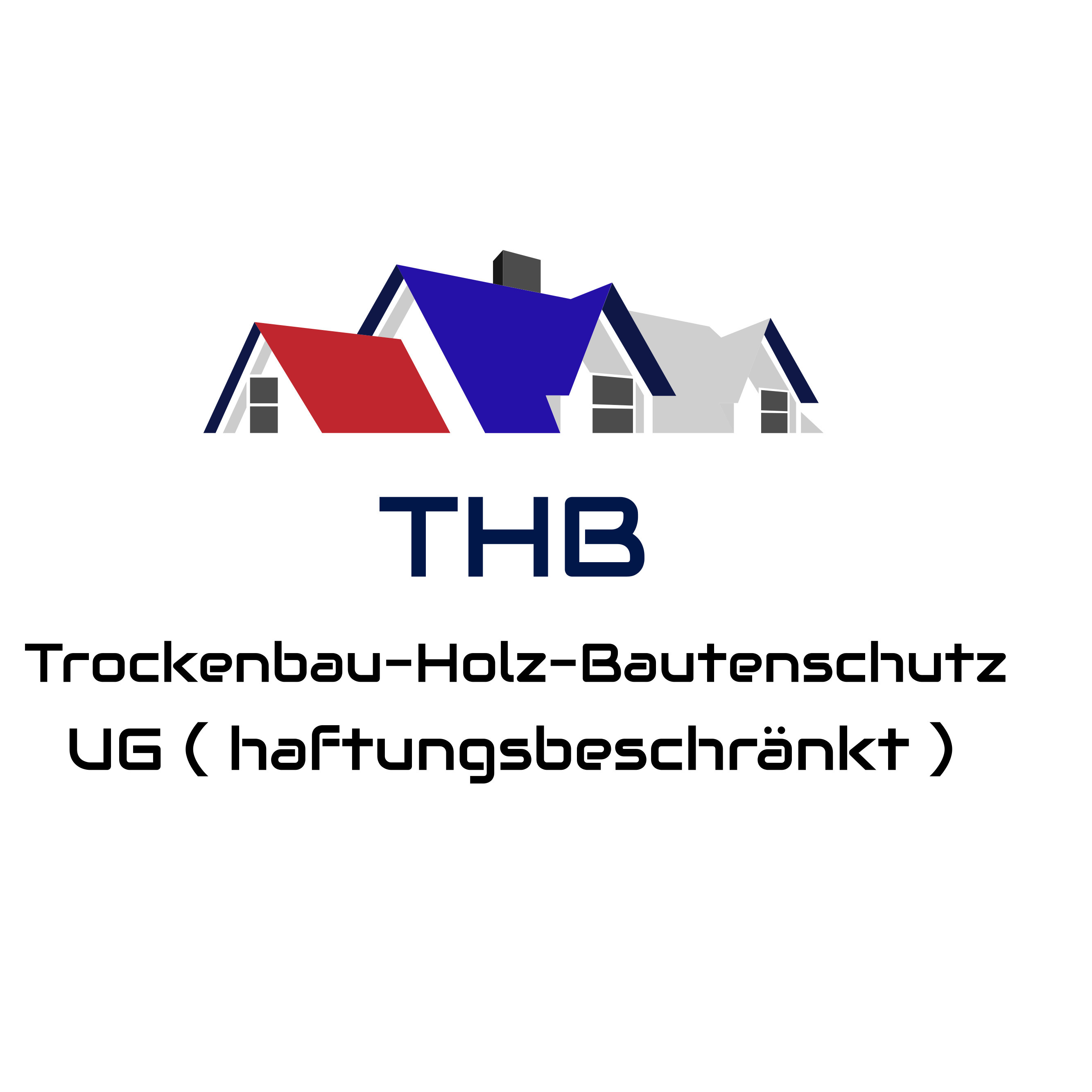 Logo THB Trockenbau - Holz - Bautenschutz UG