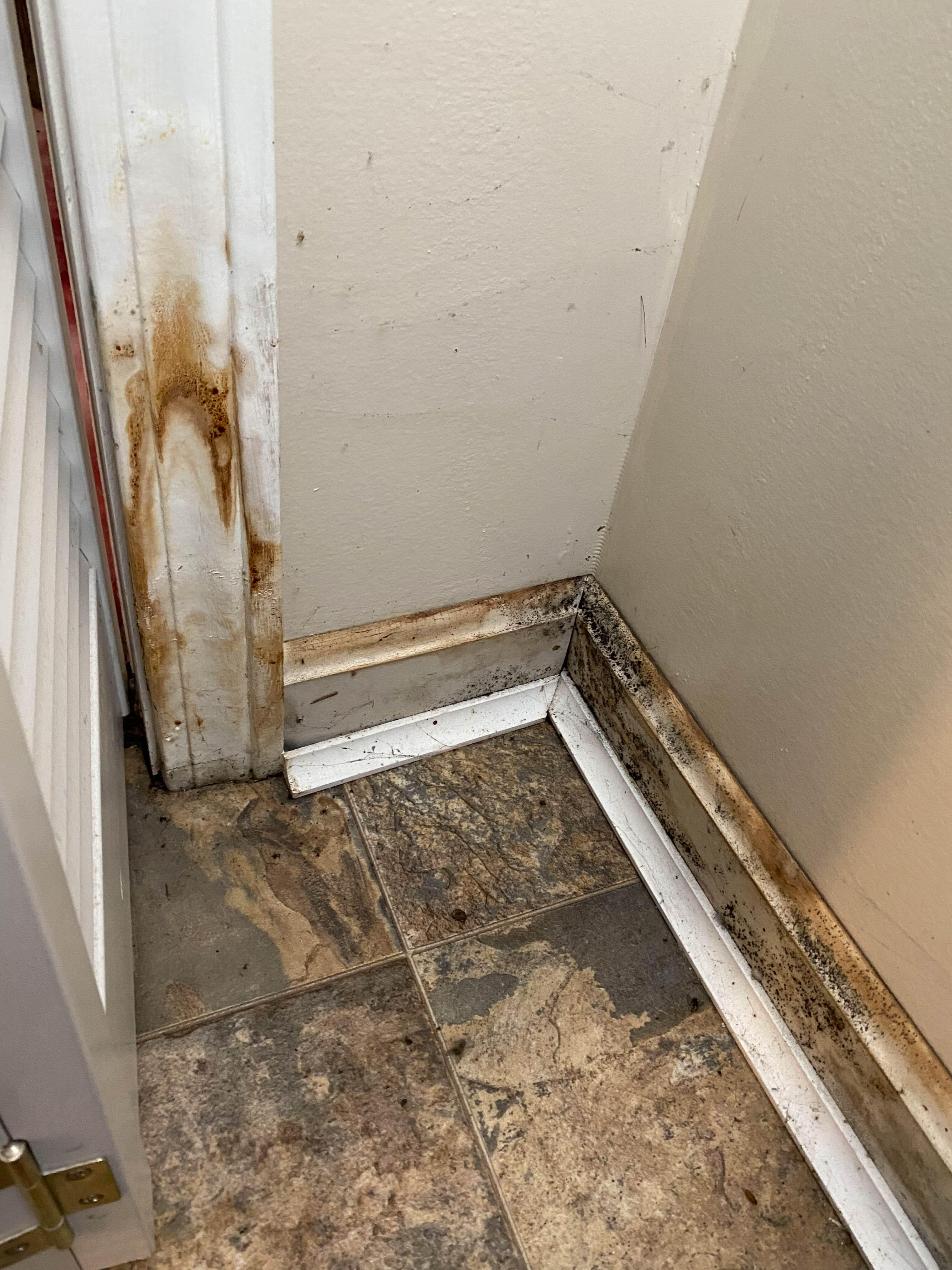 Any form of restoration emergency in Providence, RI can be handled by SERVPRO of Providence. We are extremely qualified and equipped to handle any size mold remediation situation. Please contact us at any moment!