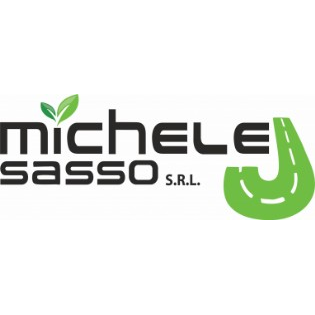 Michele Sasso Logo