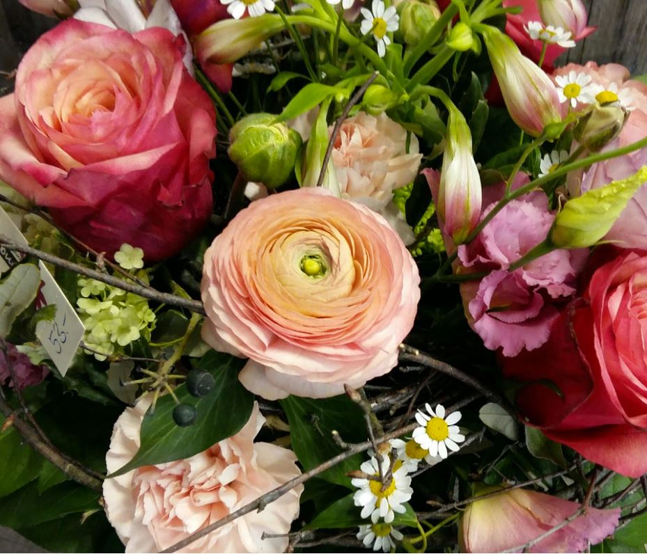 Bilder Blumenhaus Bucher Gartenbau GmbH