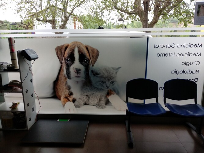 Images Clínica Veterinaria Argos Burlada