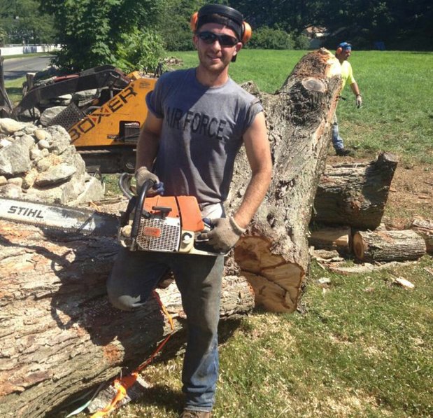 Images Acer Tree Service LLC