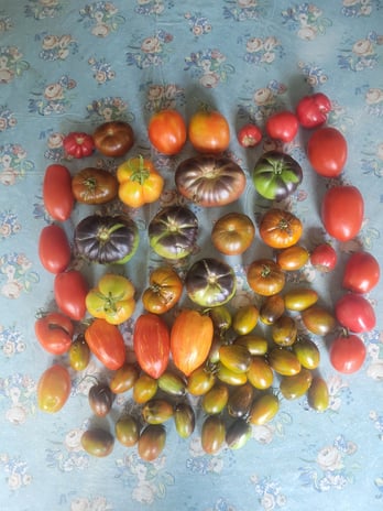 Images Green Thumb At Your Service