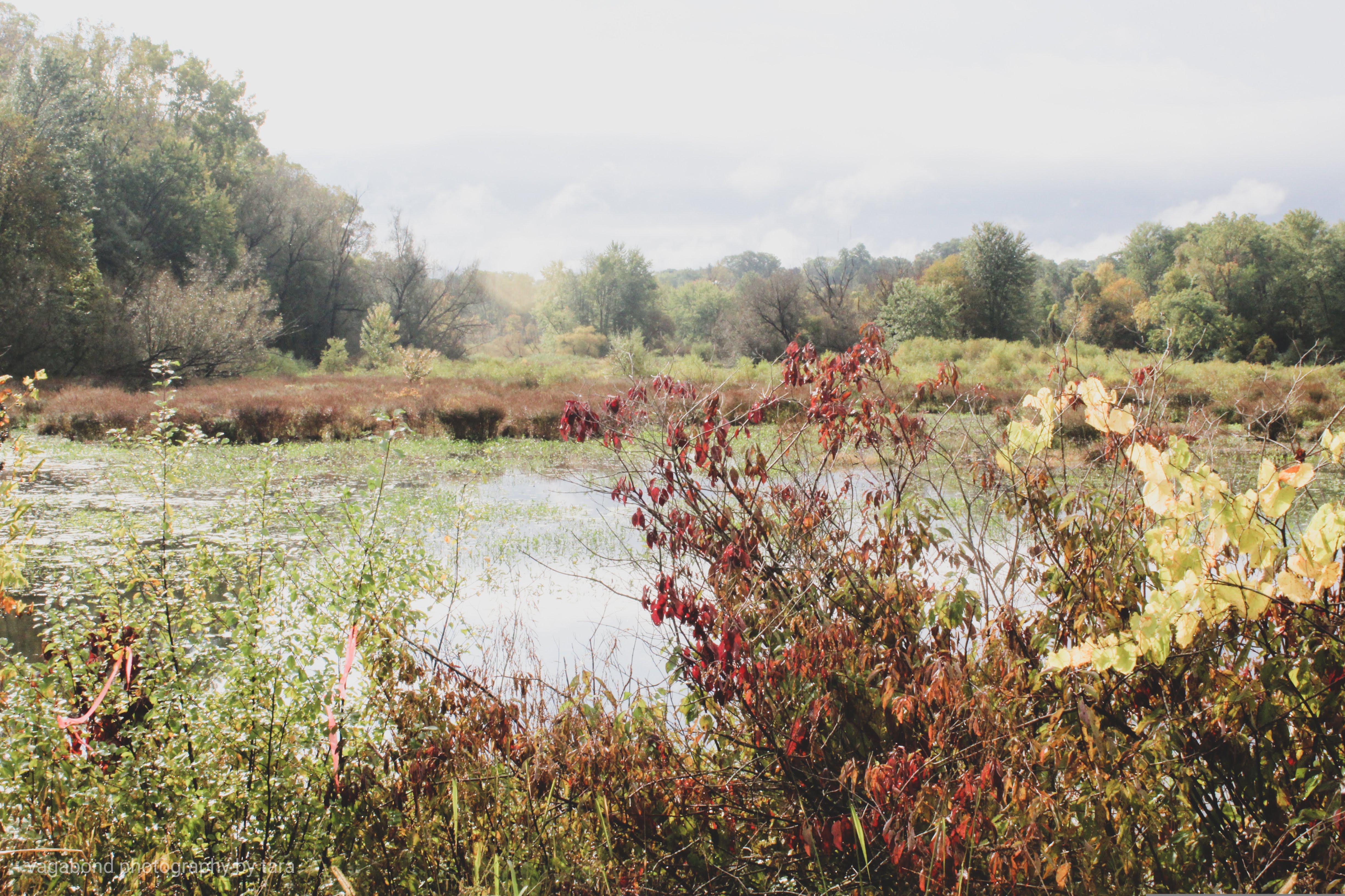 Battle Creek Area Clean Water Partnership Photo