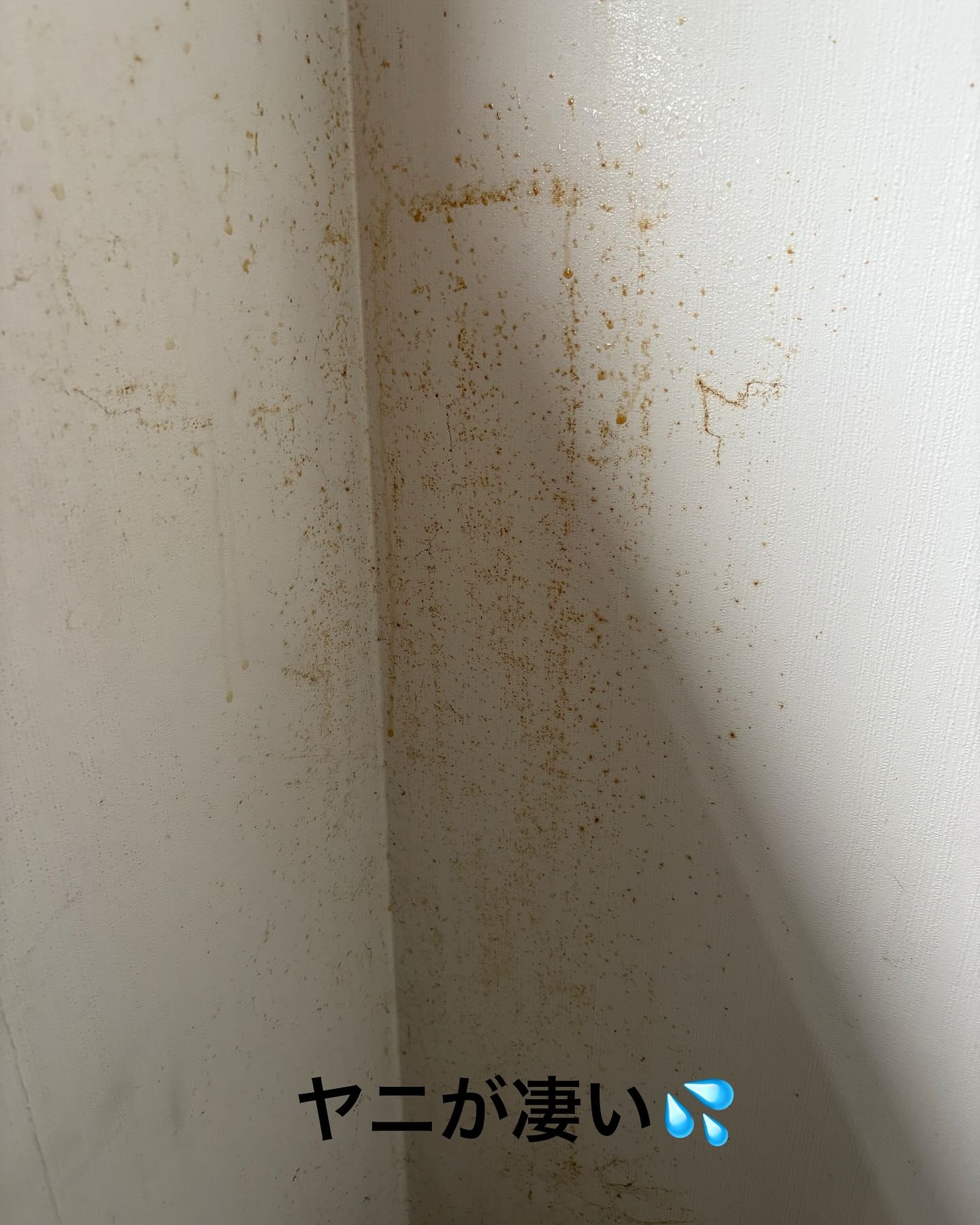 Images アルトフル株式会社