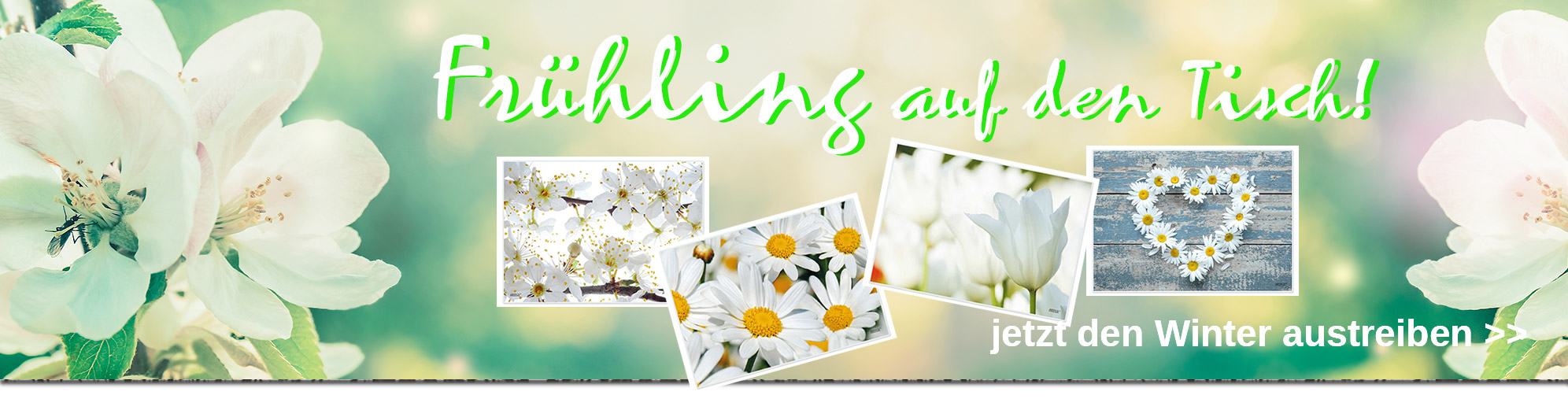 ARTIPICS e.K., Auf dem Kamm, 7 in Bergisch Gladbach