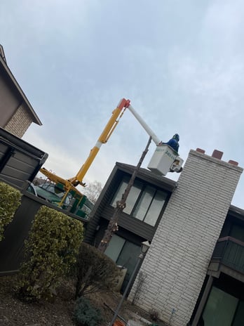 Images Arias Tree Service