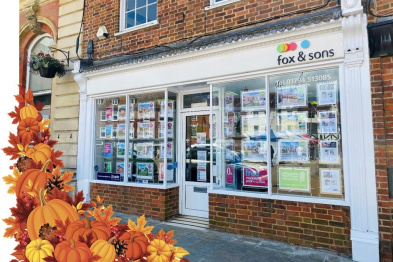Fox and Sons Estate Agents Romsey Romsey 01794 513085
