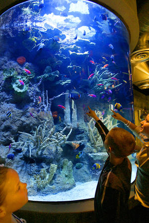 Images Downtown Aquarium