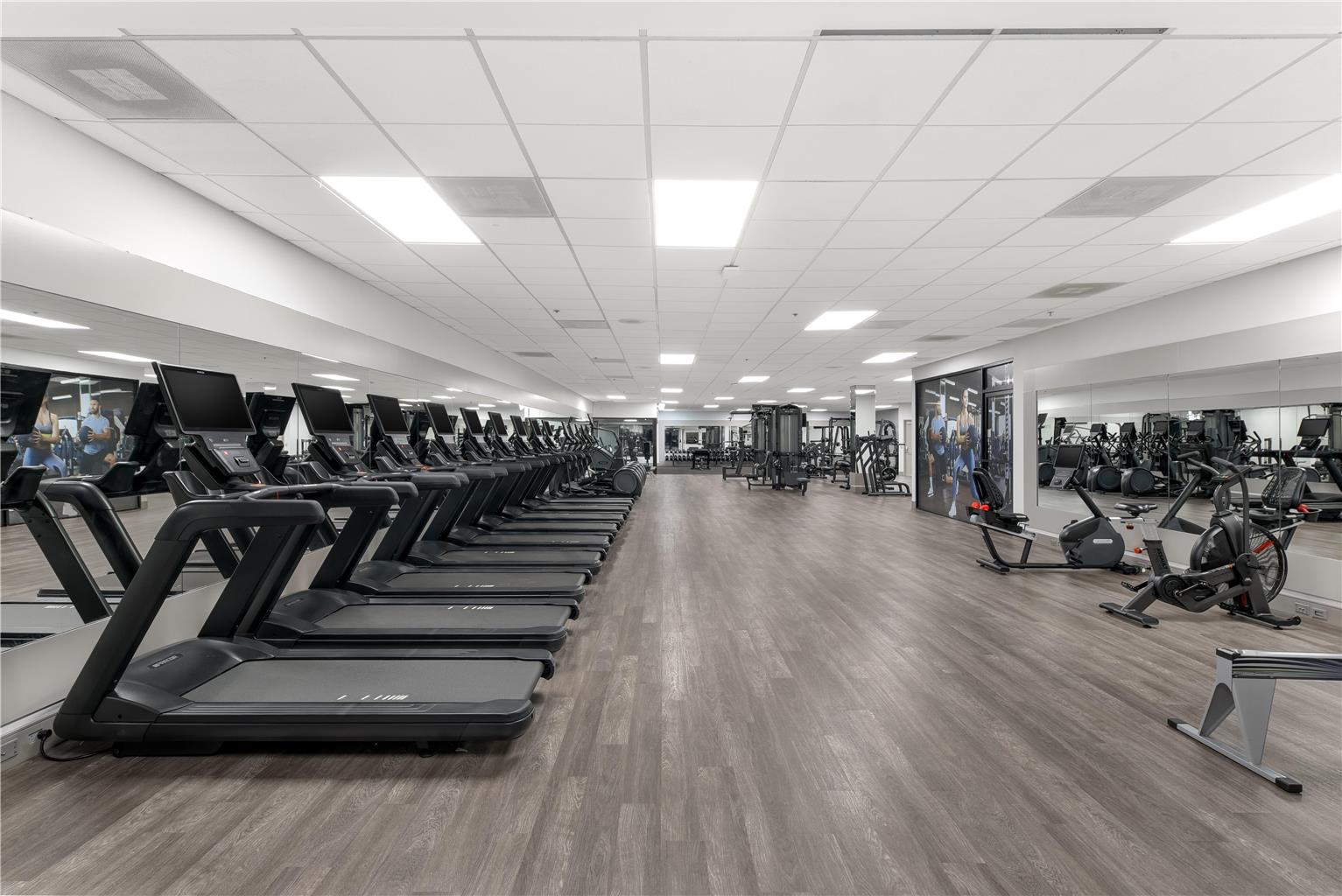 Health club  fitness center  gym 