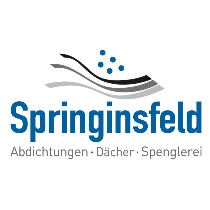 Logo von Isolierungen Hans Springinsfeld - Spenglerei | Abdichtungen