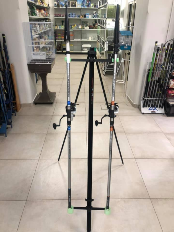 Images Pet Shop Dello Ioio