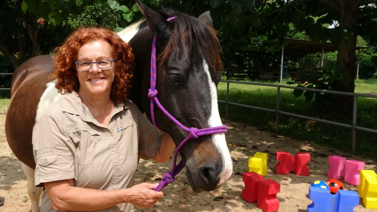 EAHAE International Association for Horse Assisted Education in Schkölen