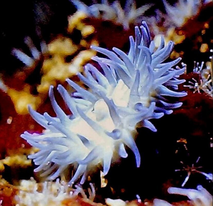 S&L Naturverlag, Bergrat-Mahr-Straße 17 in Ilmenau