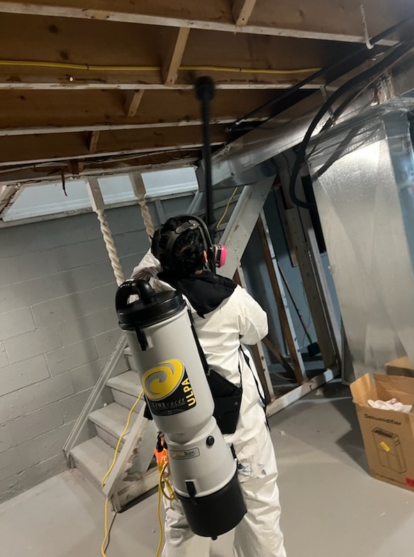 Images Quality Mold Remediation LLC