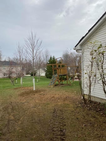 Images Sunbury Tree Care