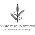 Wildbud Natives Logo