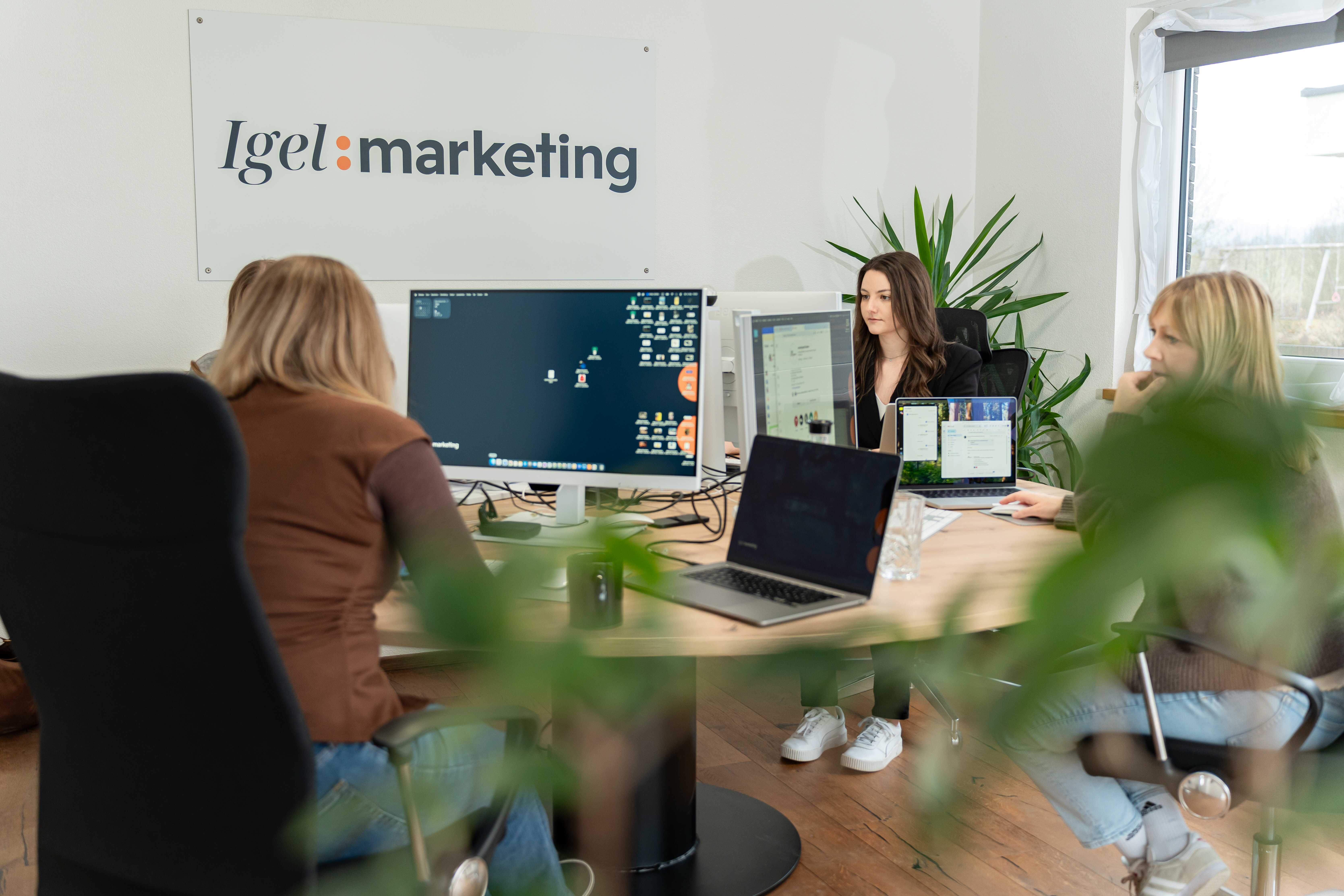 Igel:marketing, Langenweg 10 in Ebersbach-Musbach