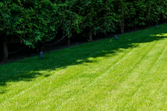 Images Evolve Gardens & Landscaping