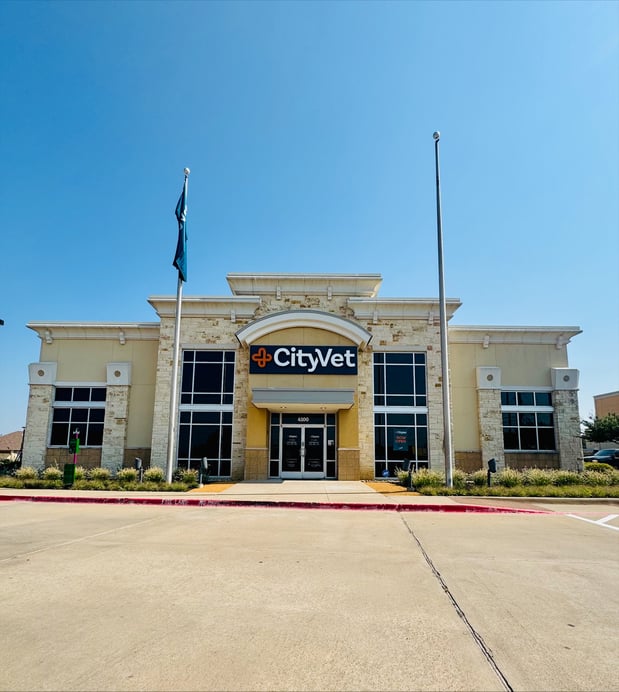 Images CityVet | Lake Worth