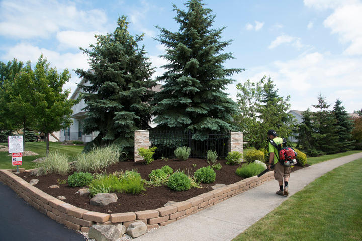 Peters Professional Landscaping Photo