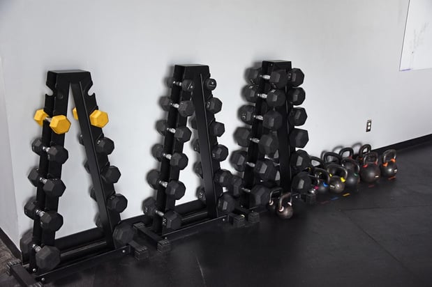 Images OLO Physical Therapy and Wellness - Ann Arbor