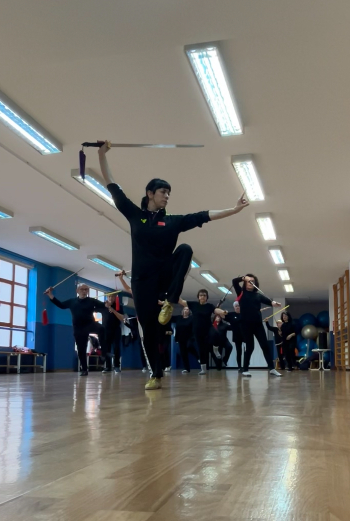 Images Escuela De Wushu/kung Fu Jingwu