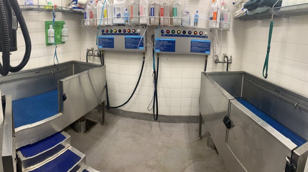 Images Petco Grooming