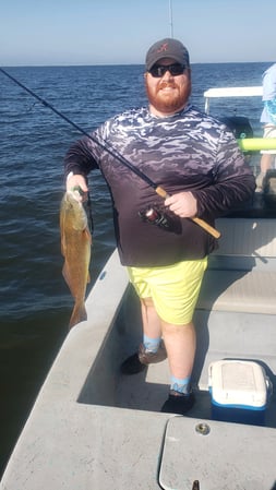 Images E-6 INSHORE FISHING ADVENTURES, LLC