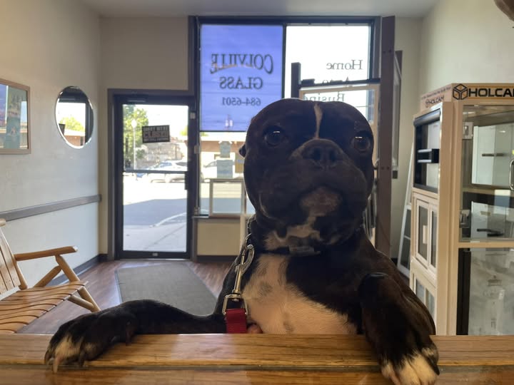 Images Colville Glass