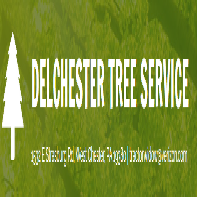 Delchester Tree Service Logo