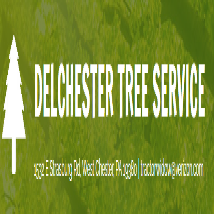 Delchester Tree Service