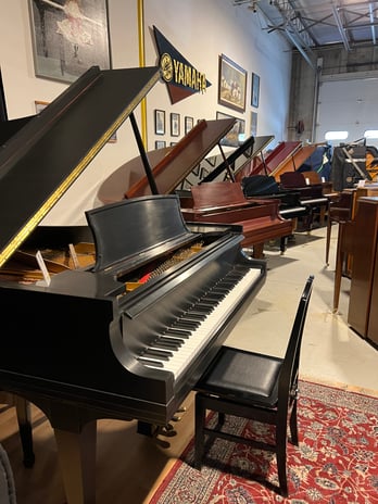 Images A Piano's Friend