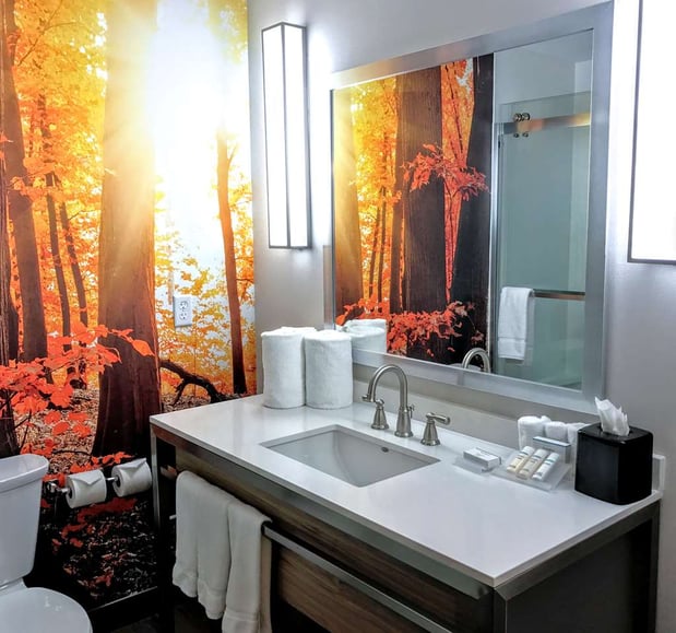 Images Hilton Garden Inn Minneapolis Airport Mall of America