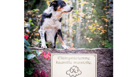 Images Suomen Eläintuhkaus Oy