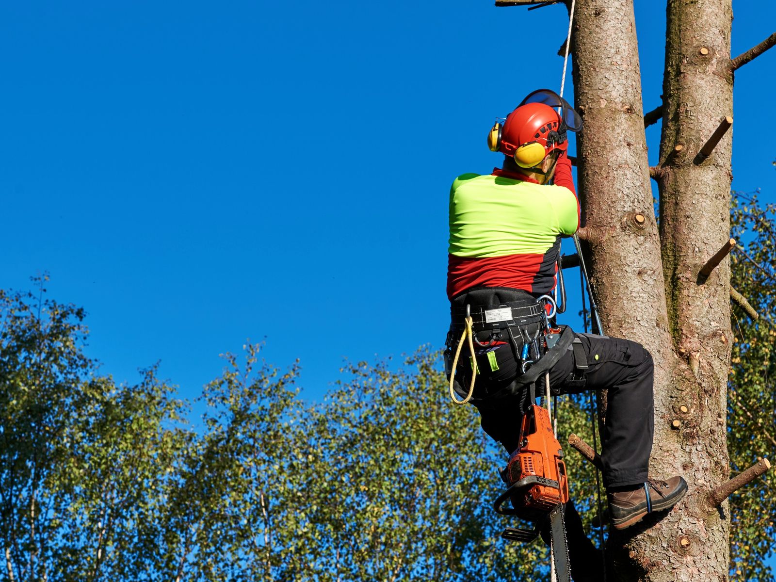 Sam's Tree Service