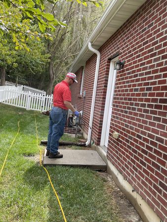 Images Art's Pest Control