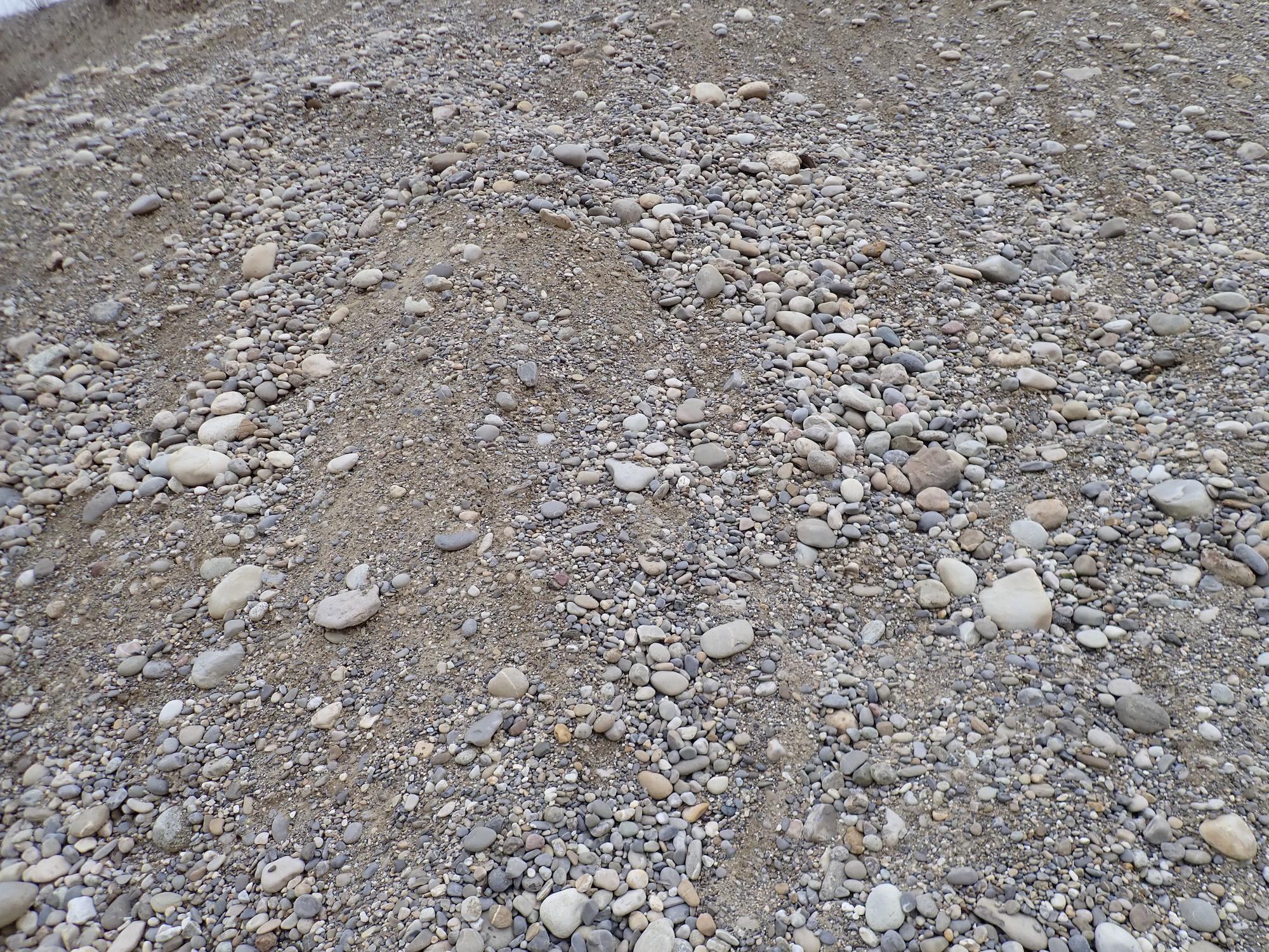 Bilder Miles Erbacher AG
